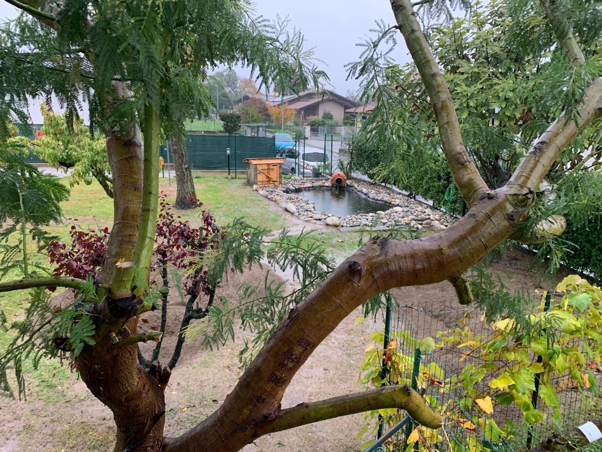 Bed & Breakfast Indi Thelar Villa Guardia Zewnętrze zdjęcie